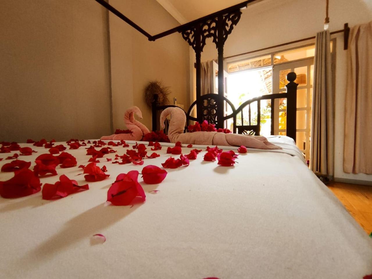 فيلا Nungwi Roses المظهر الخارجي الصورة
